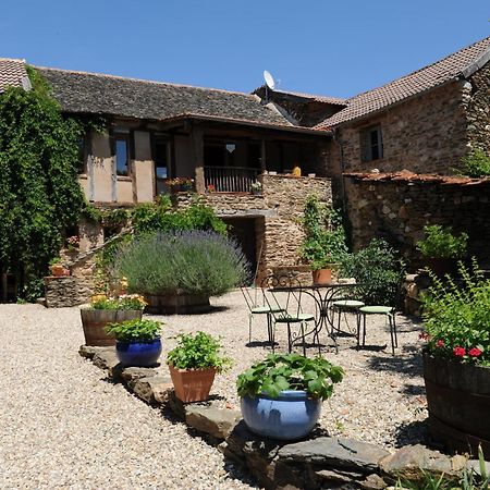 爱之井住宿加早餐旅馆 Mirandol-Bourgnounac 外观 照片